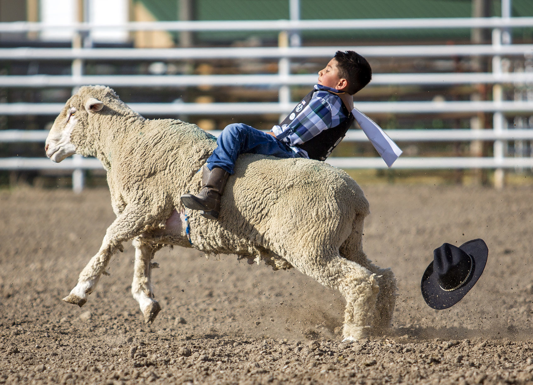 Mutton Busting in Minidoka